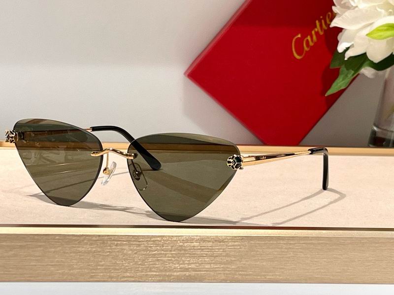 Cartier Glasses smx (429)